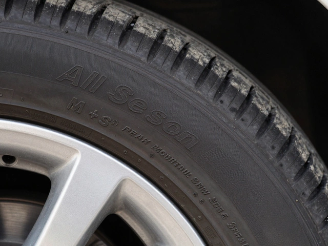 Всесезонные шины: как определить тип резины и стоит ли их покупать